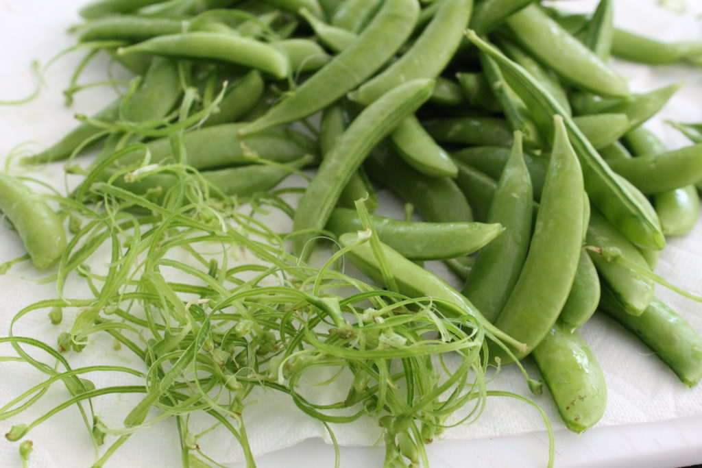 Charred Sugar Snap Peas with Burrata and Mint